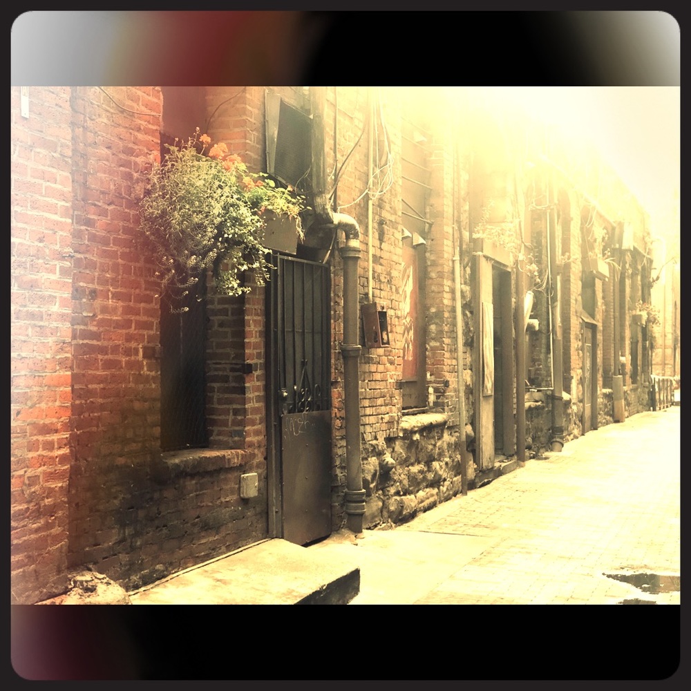 Meet your Posher, Olga